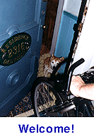 Reduced mobility access, La Dauphine bed and breakfast, New Orleans